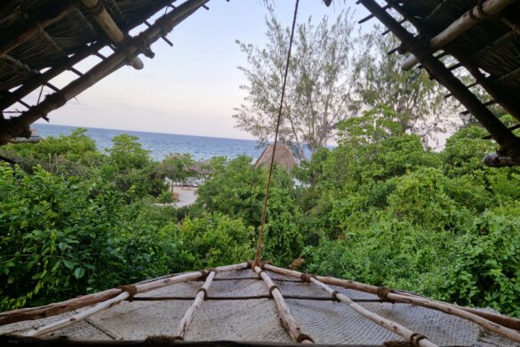 Chumbe Island - view
