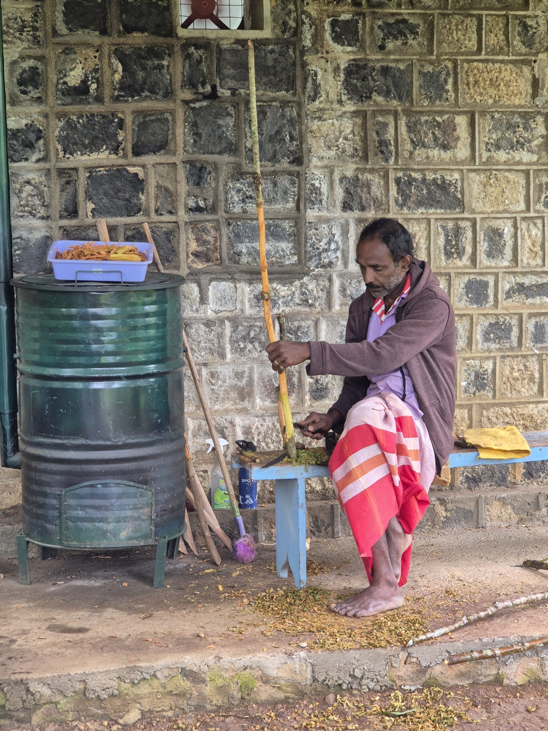 Amba Estate Zimt Produktion