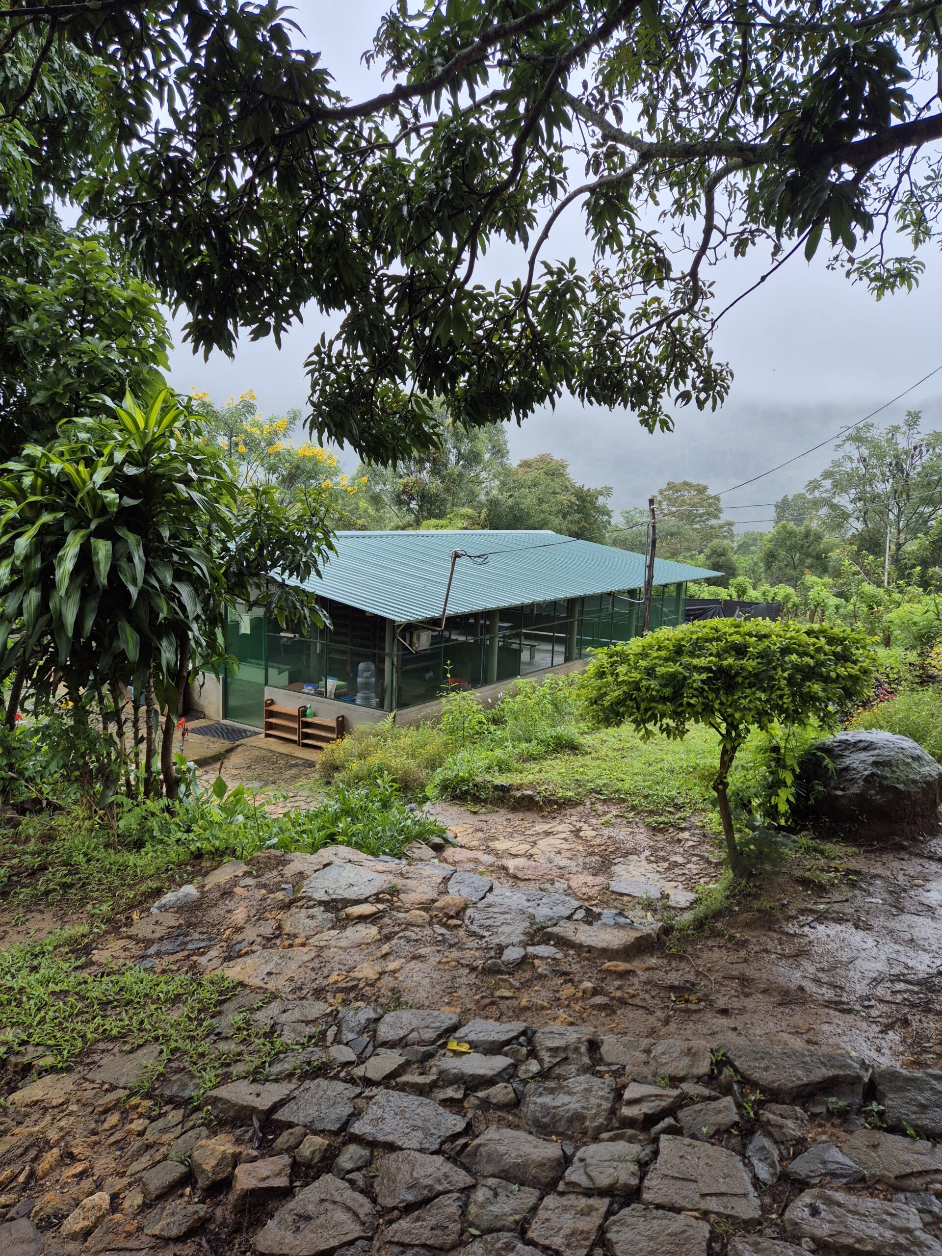 Amba Estate: Landschaft