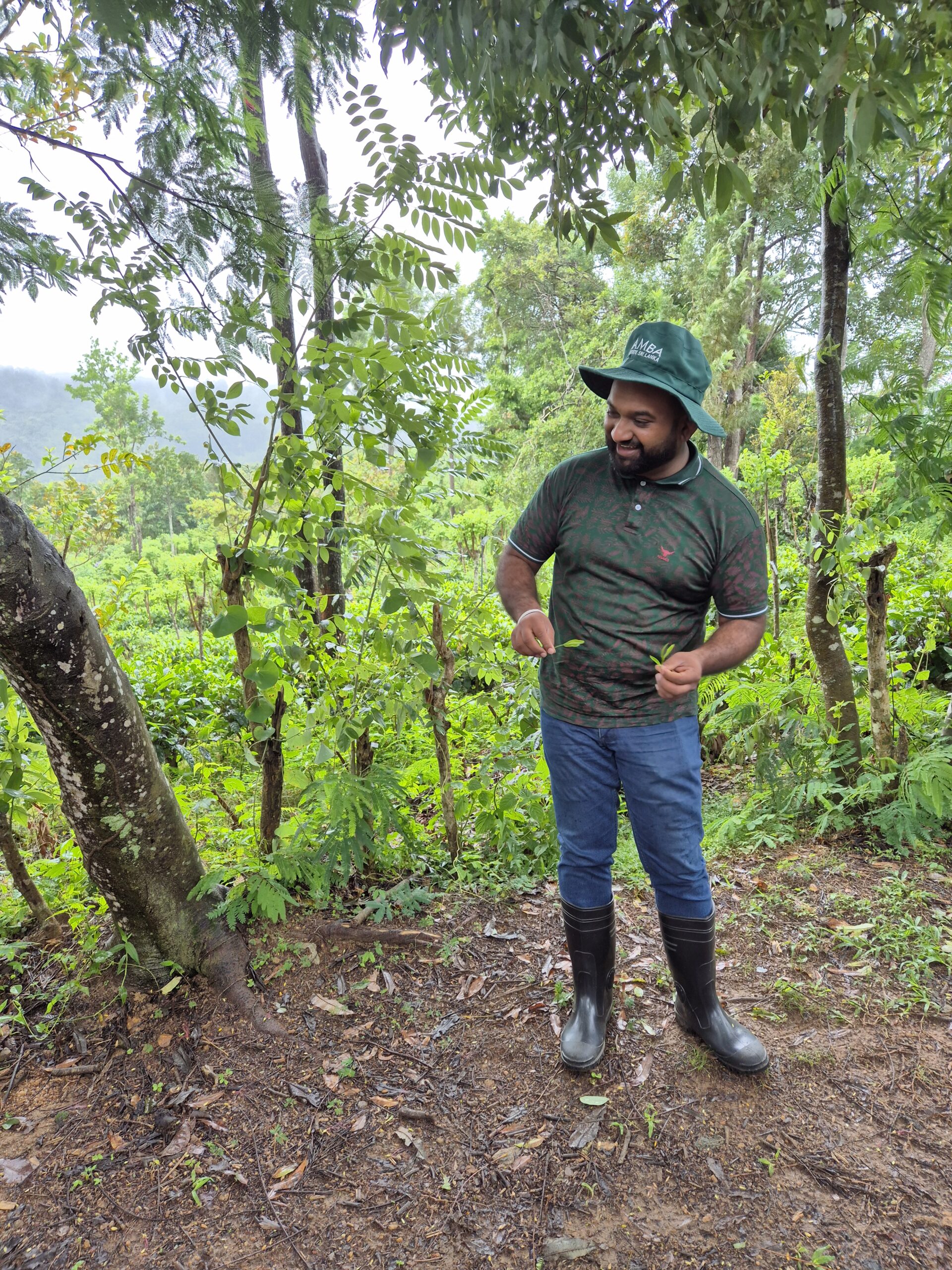 Amba Estate Tour