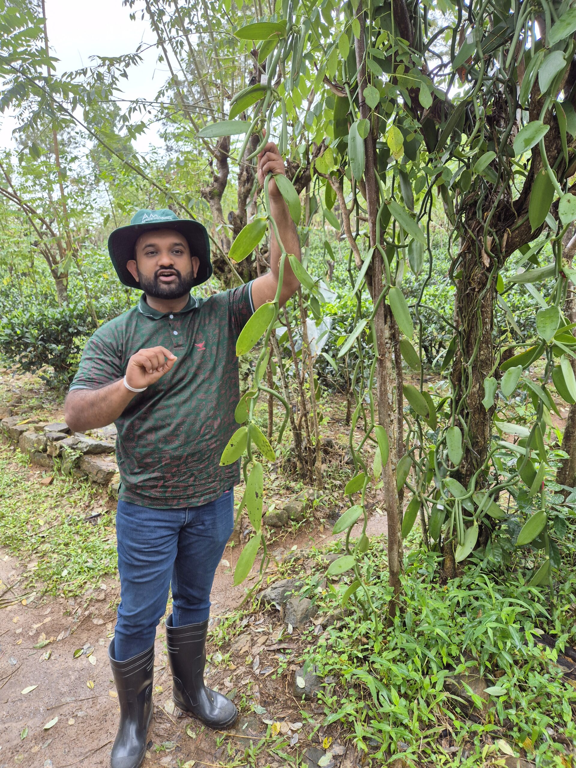 Amba Estate Tour