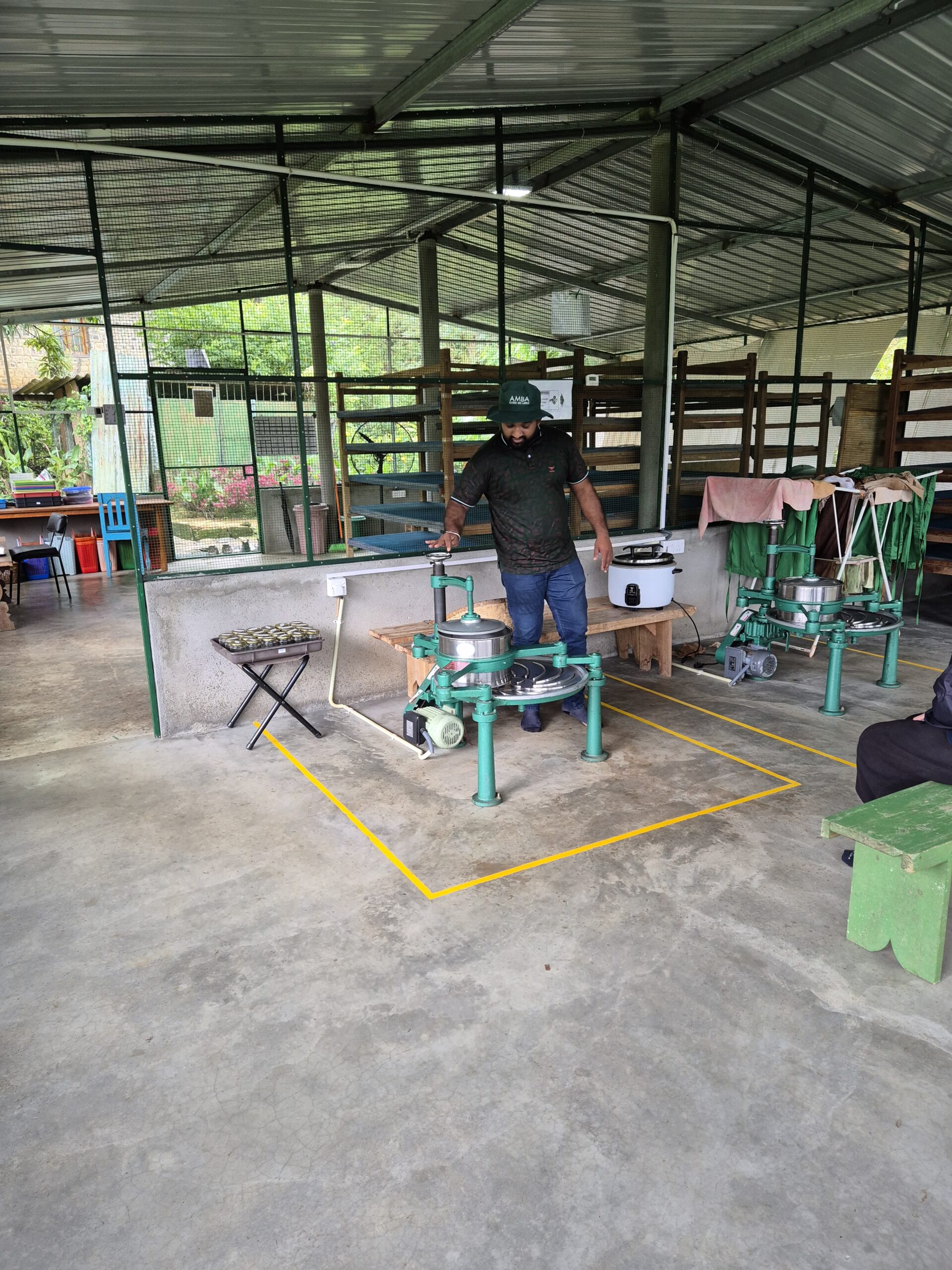 Amba Estate Teeproduktion