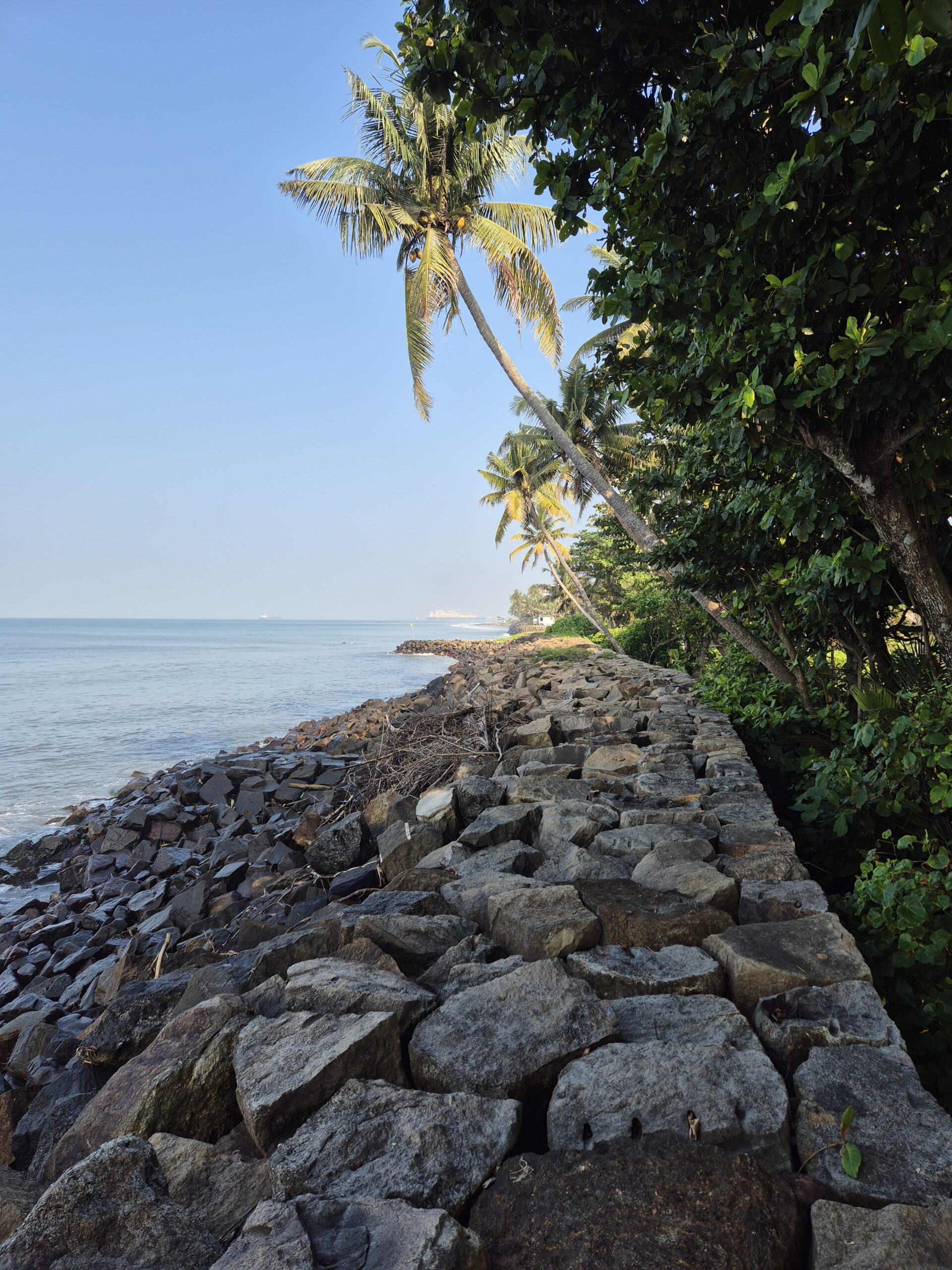 Kochi - Sea Hut Homestay