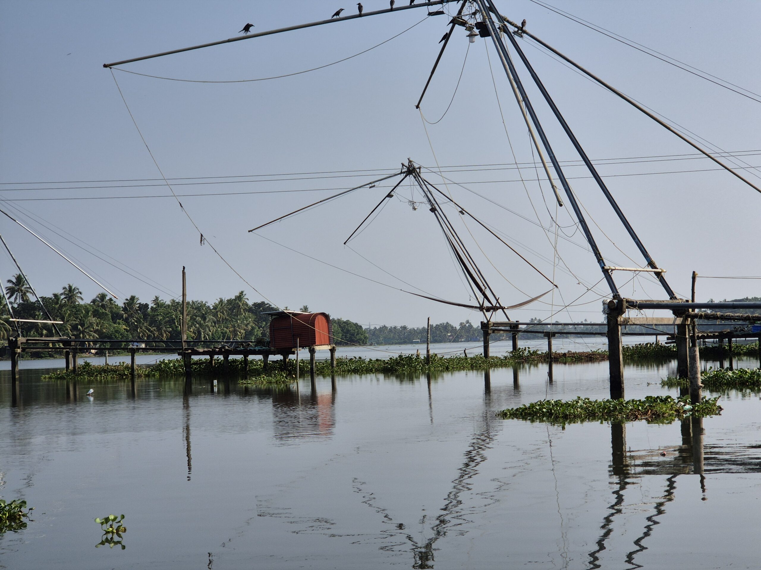 Kochi - Backwater Tour