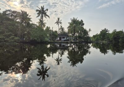 Village Adventures Kochi in 2 Tagen – lokale Begegnungen, Backwaters & Reisetipps für Indiens Küstenstadt