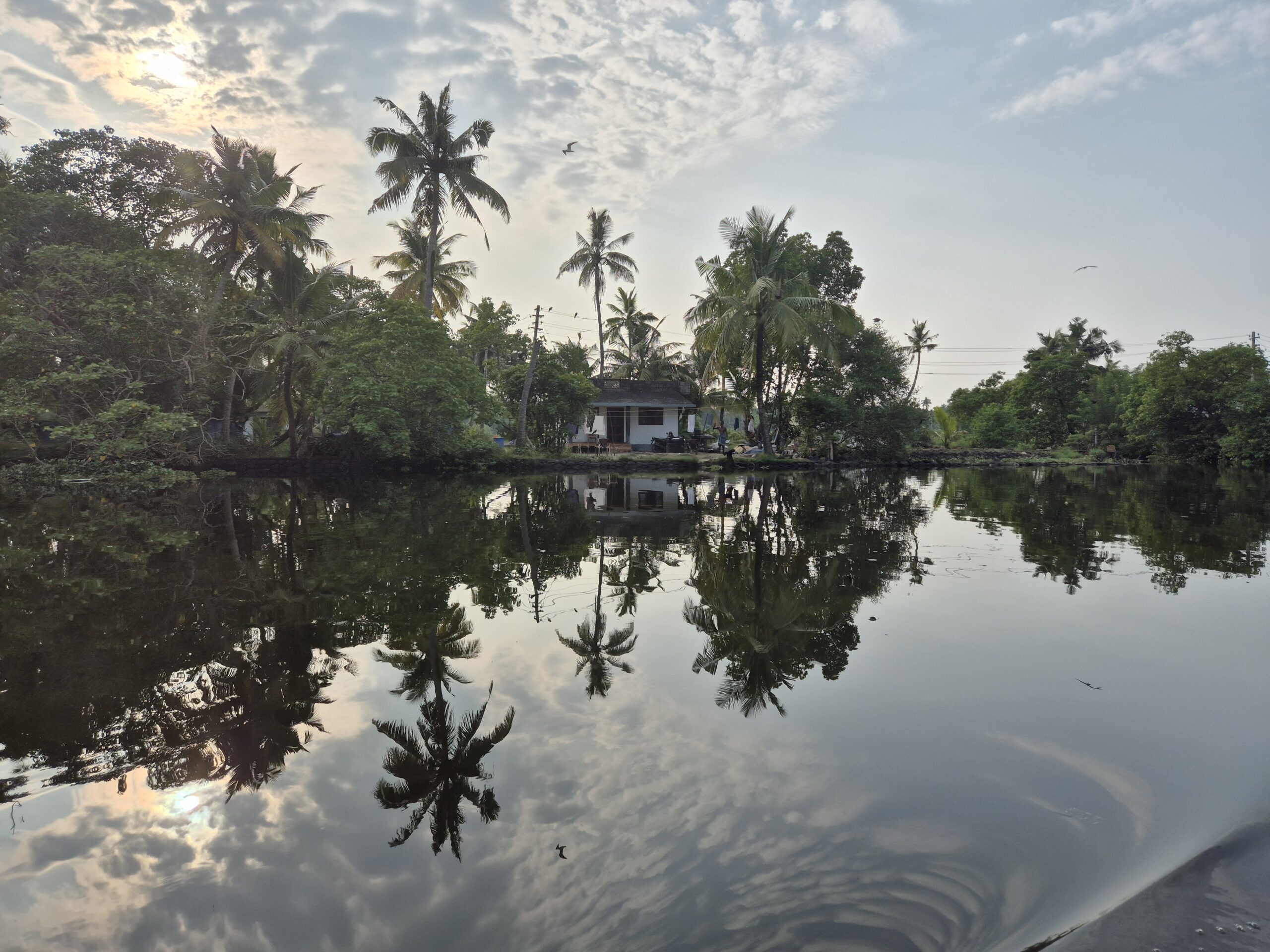 Kochi - Backwater Tour