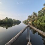 Kochi - Bootstour durch die Backwaters