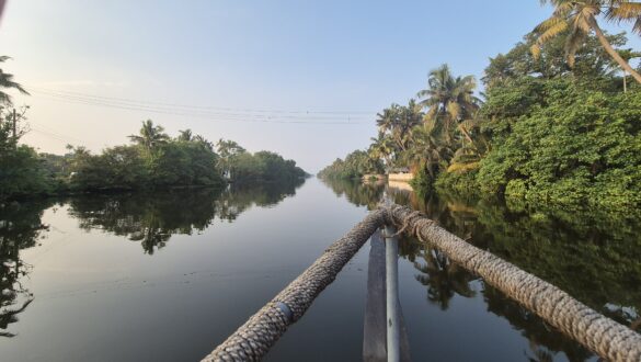 Kochi - Bootstour durch die Backwaters
