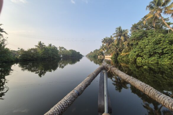 Kochi - Bootstour durch die Backwaters