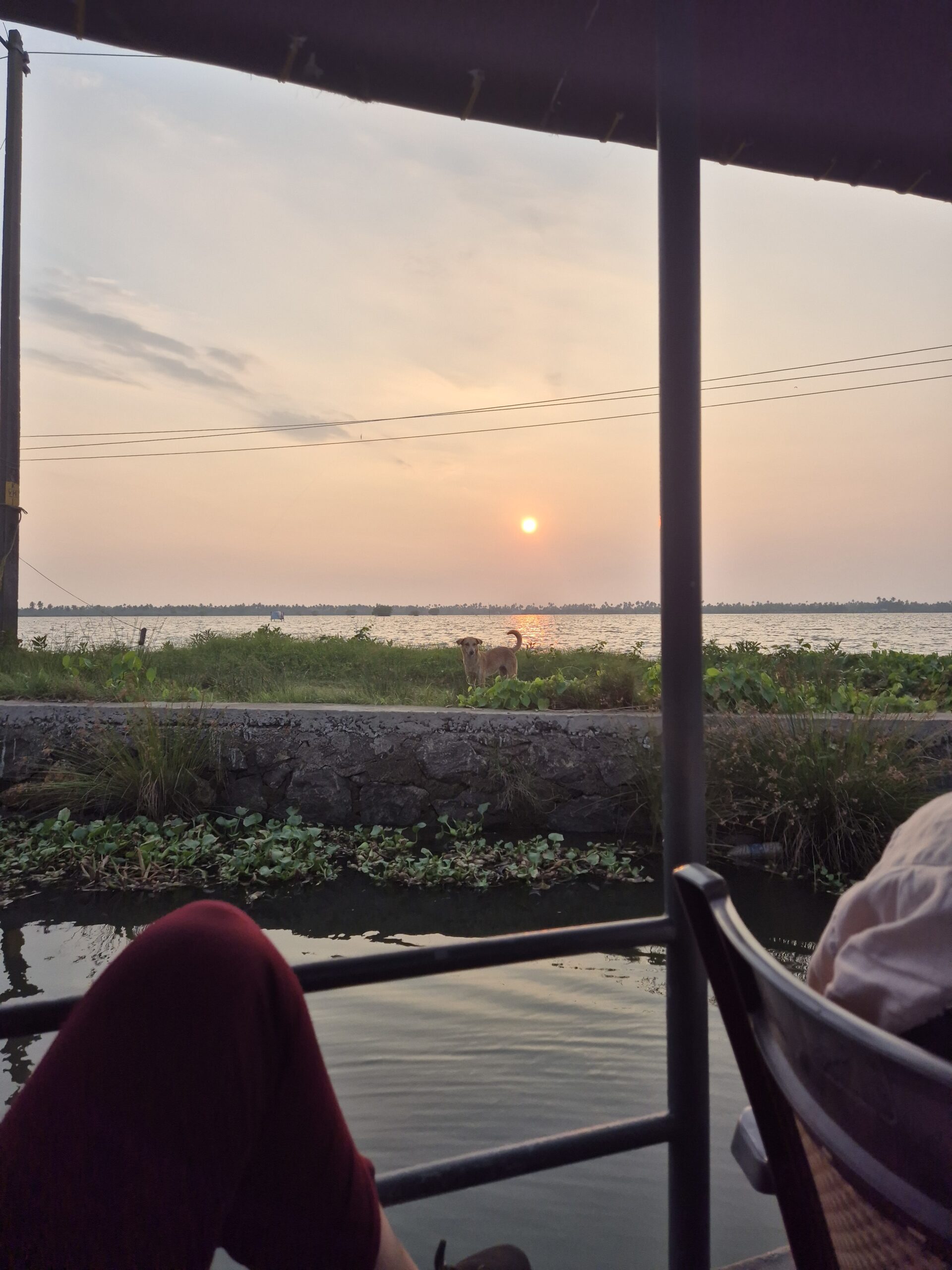 Kochi - Backwater Tour