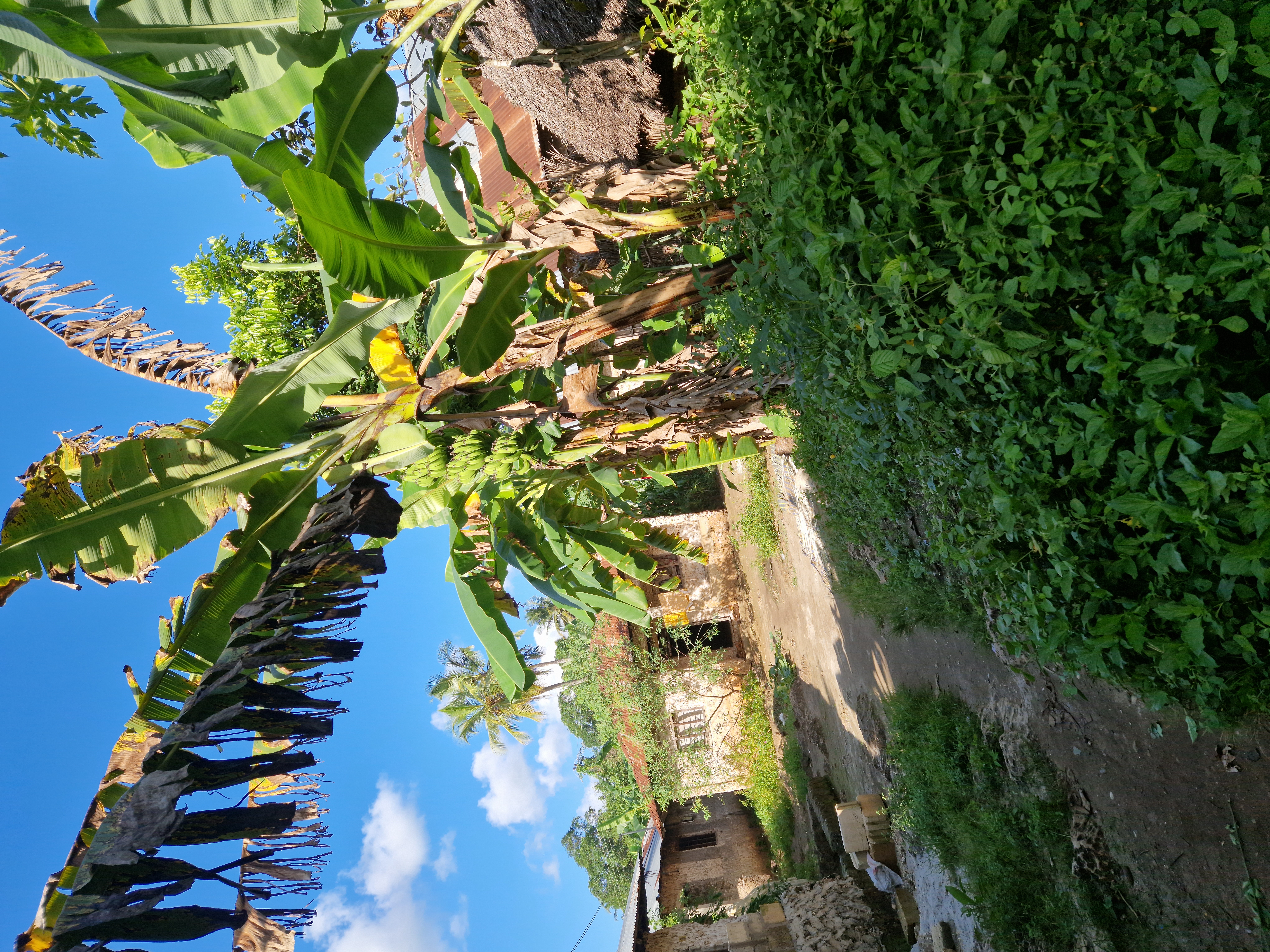 Muungoni Village Dorf