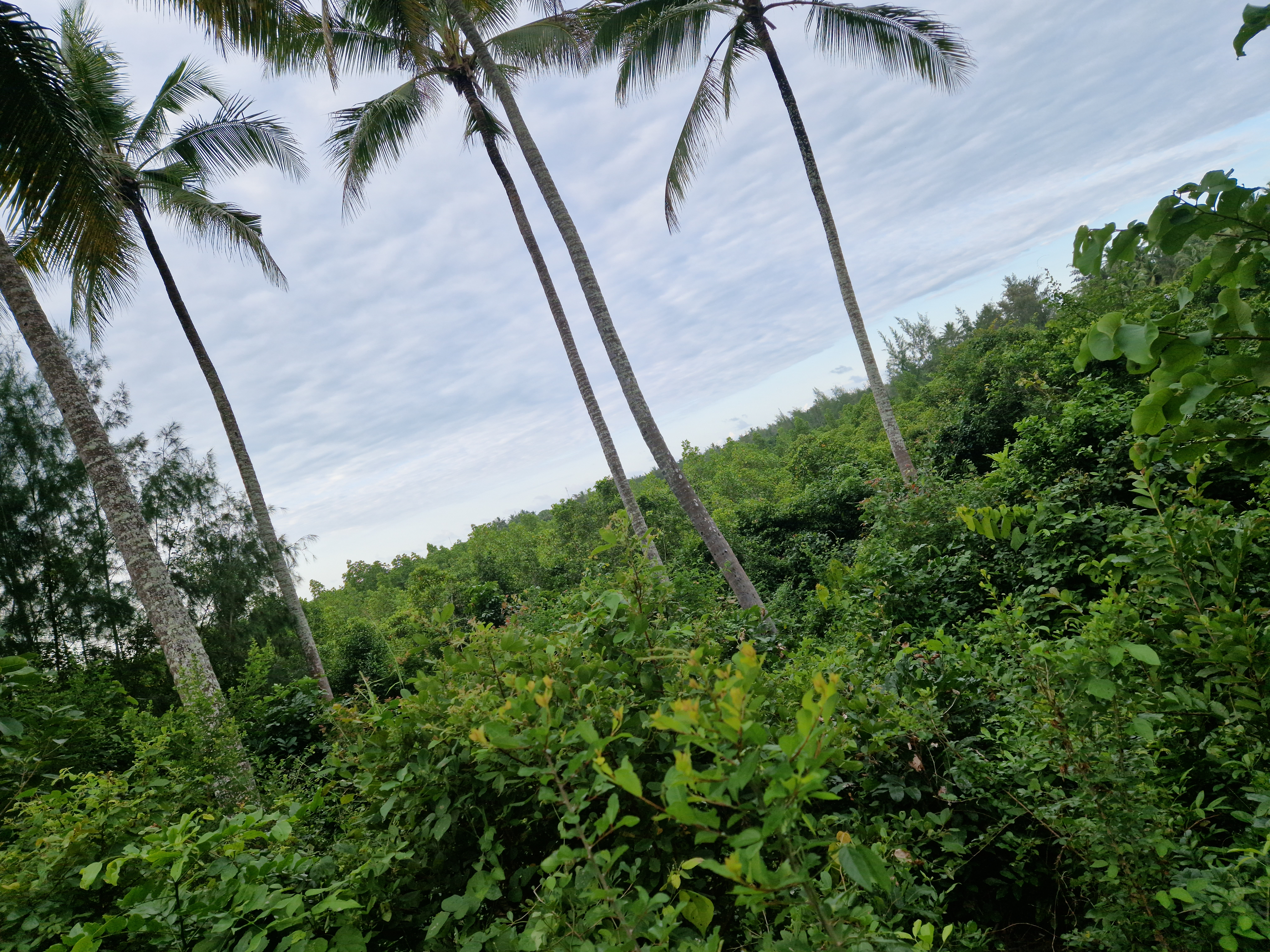 Muungoni Village