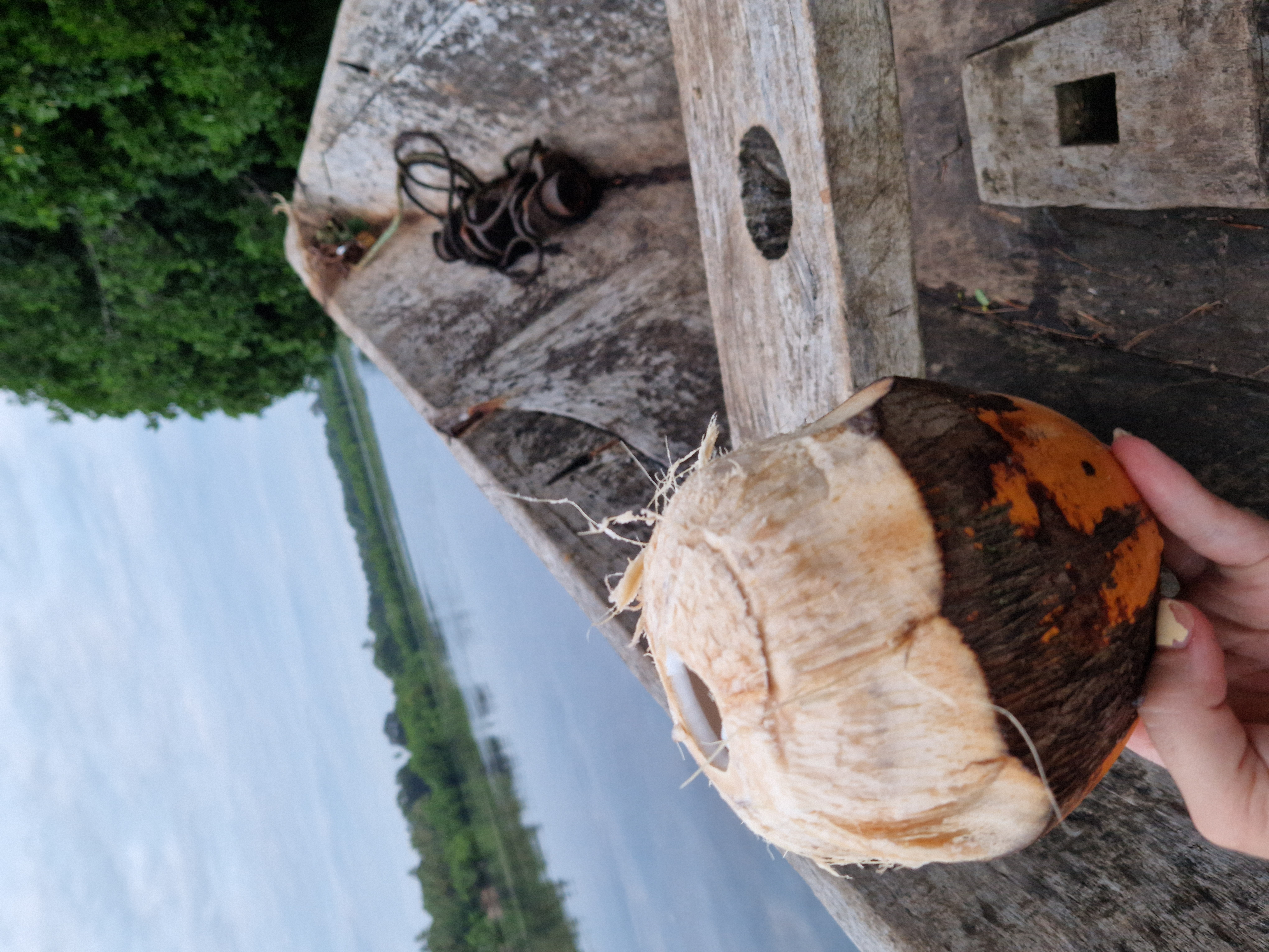 Mongroven Tour