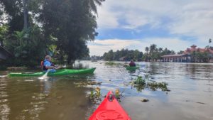 Village Adventures Kerala Backwaters Village Kajak Tour