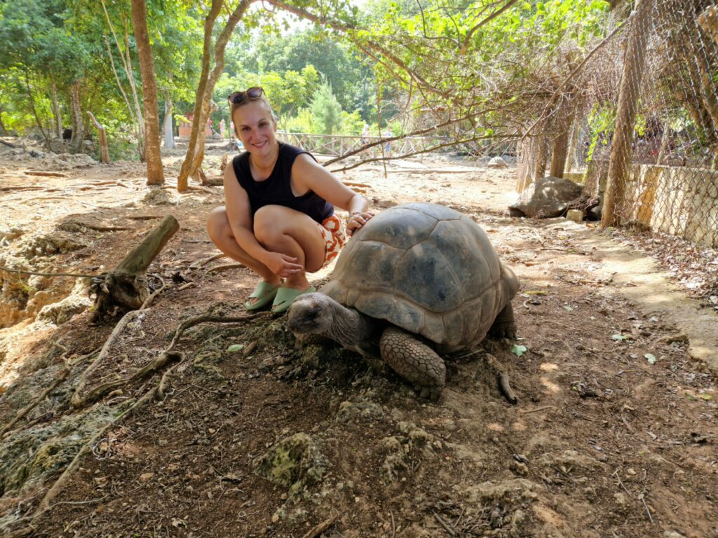 Sansibar Schildkröte Slow Travel