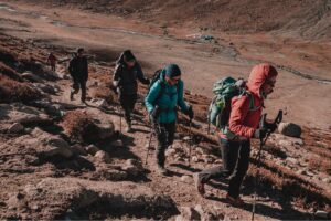 Village Adventures Markha Valley Wildlife Trek