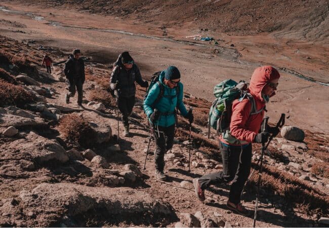 Village Adventures Markha Valley Wildlife Trek