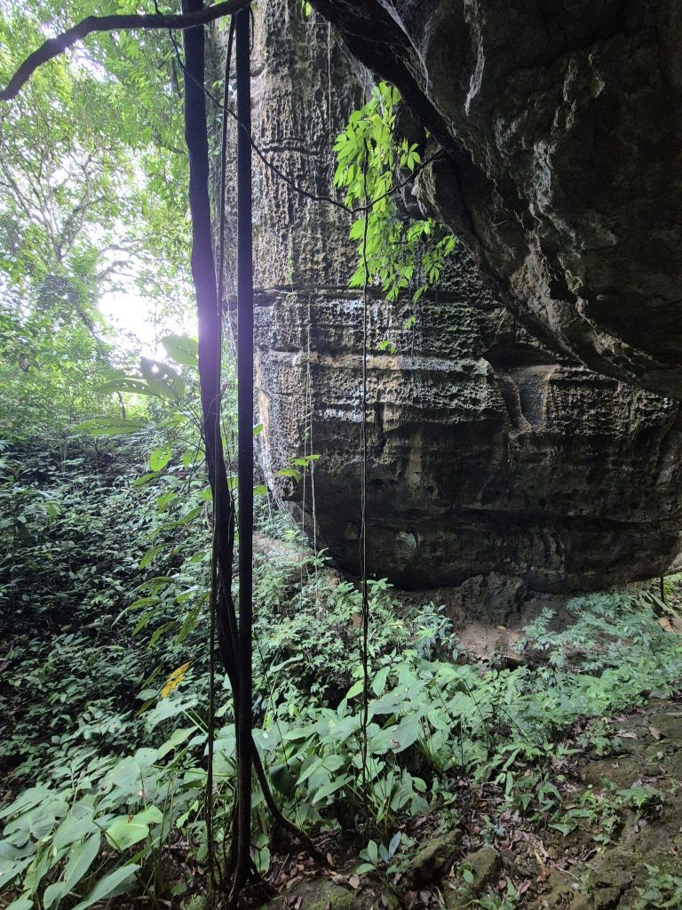 Kalksteinfelsen Eco Trek Bukit Lawang