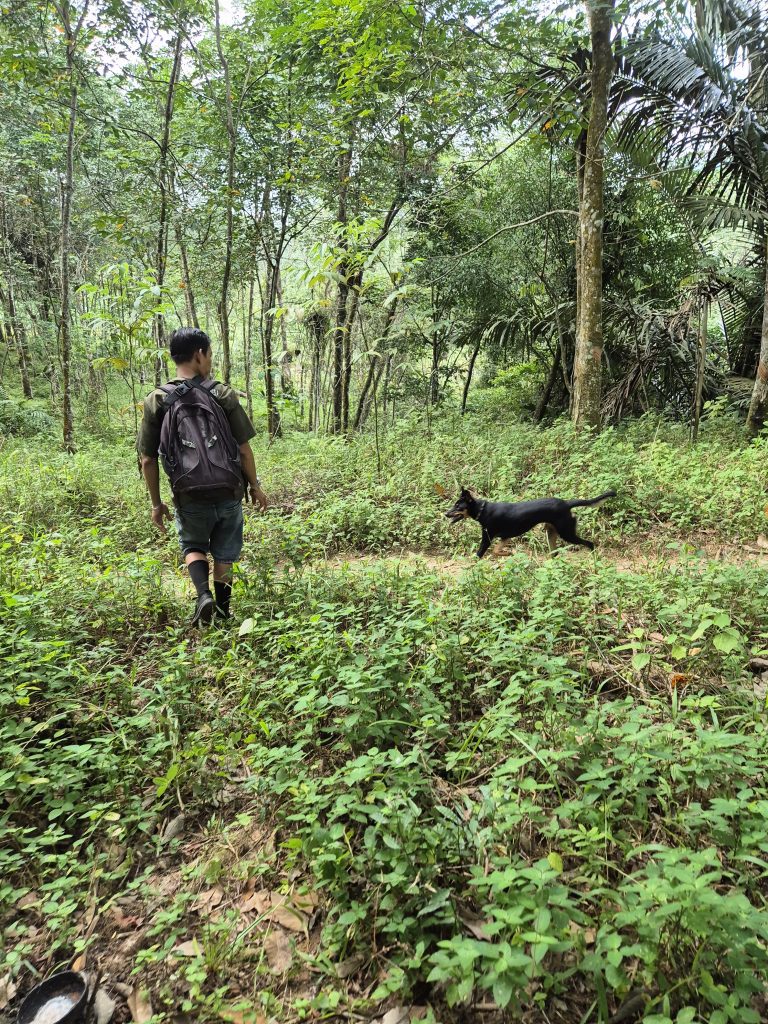 Heri und Hund Eco Trek Bukit Lawang