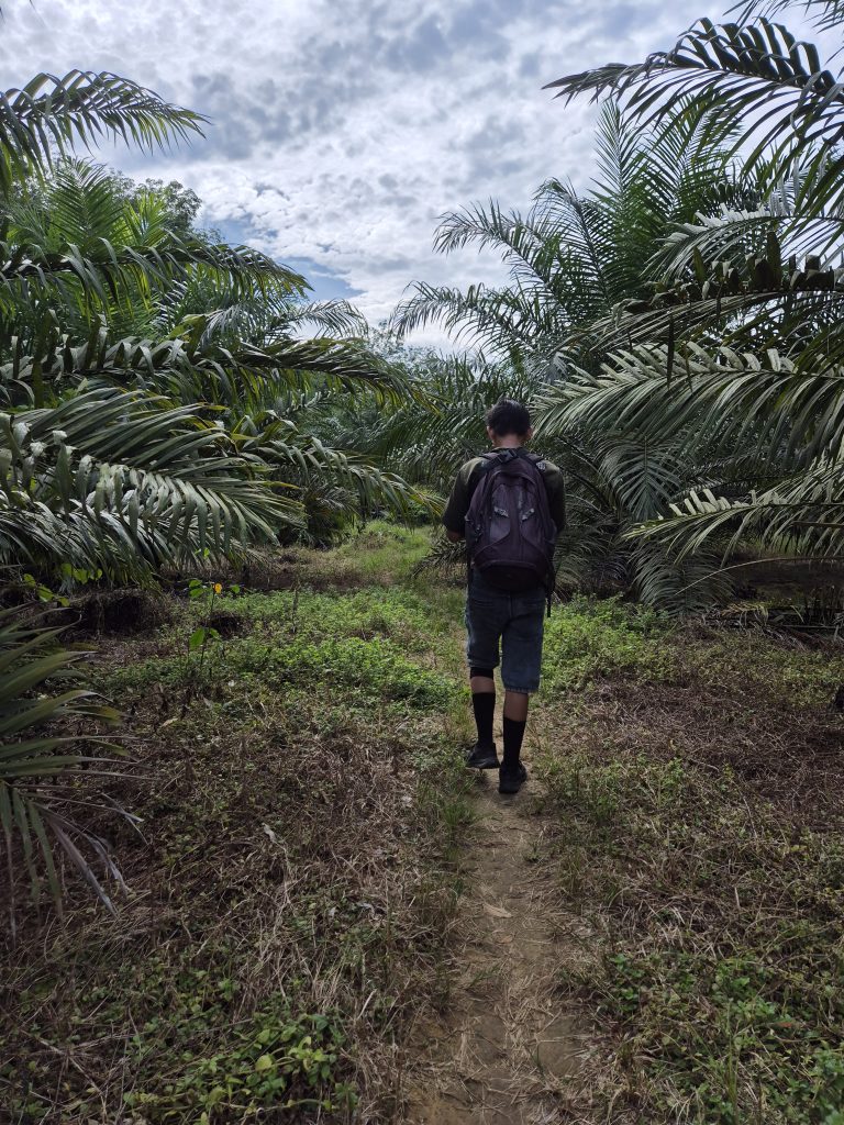 Guide Heri führt kleine Gruppe durch den Dschungel von Sumatra