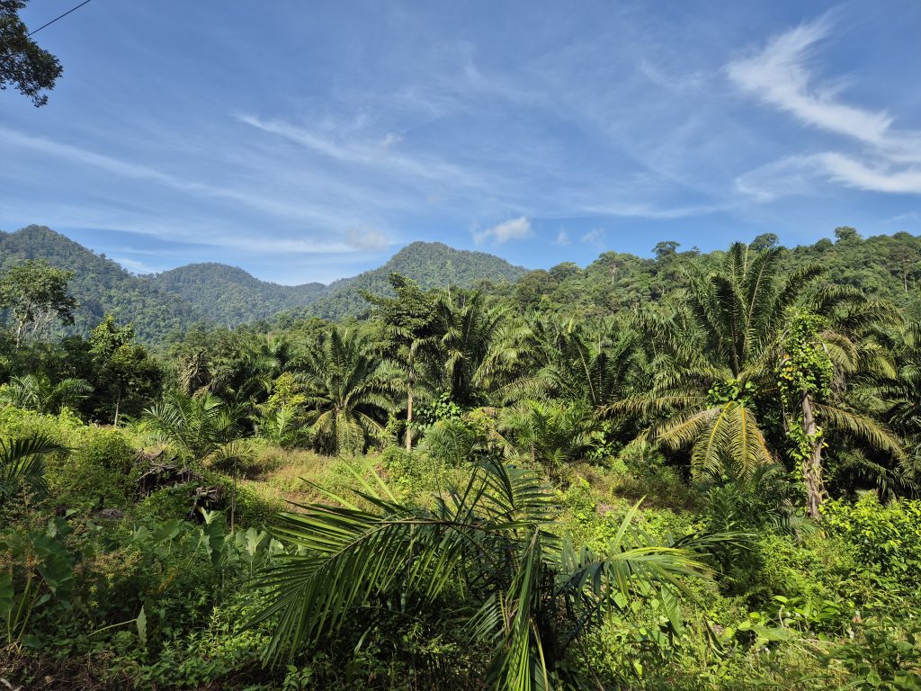 Eco Trek Bukit Lawang