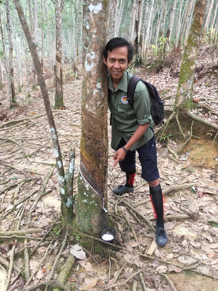 Guide Heri führt kleine Gruppe durch den Dschungel von Sumatra