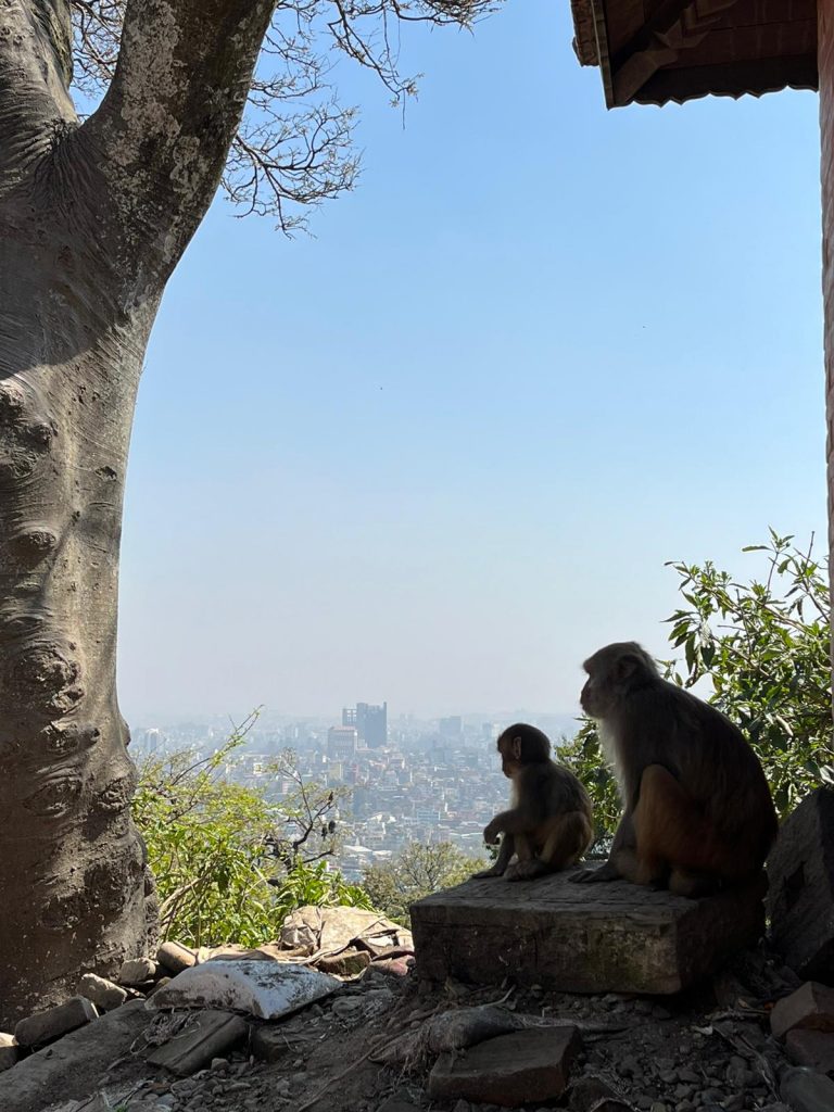 Nepal Monkey Tempel