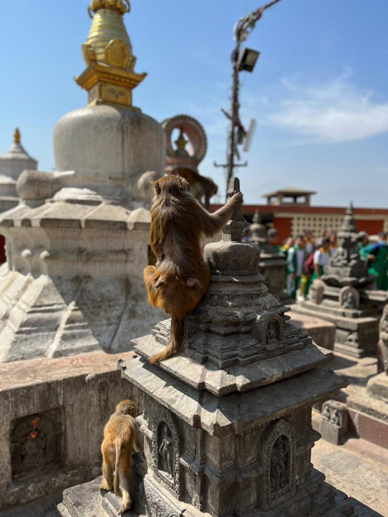 Nepal Monkey Tempel