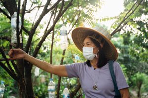 Village Adventures Ab Bangkok: 3,5h Privattour - Das Leben der Obstgärten