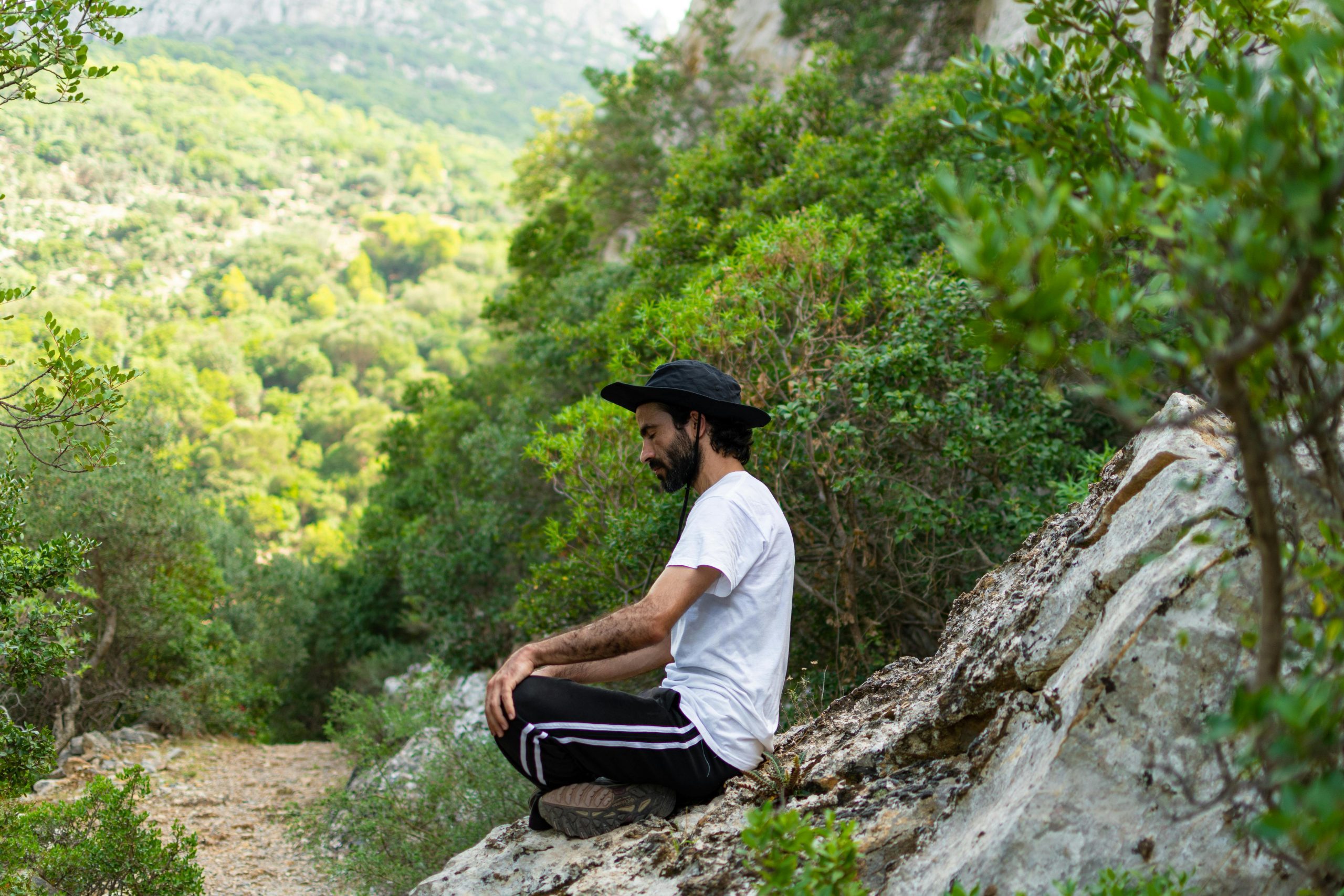 Village Adventures Chiang Mai: Nature Healing & Elephant Mindfulness