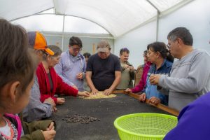 Village Adventures La Piragua Wasserfall & Ecuador Kaffee-Erlebnis